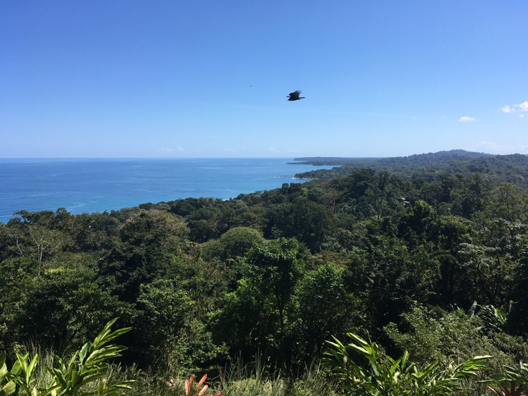 Vue sur l’océan et la forêt tropicale.
