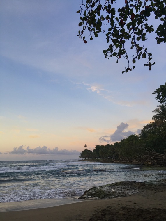 Plage bordée de palmiers au soir.
